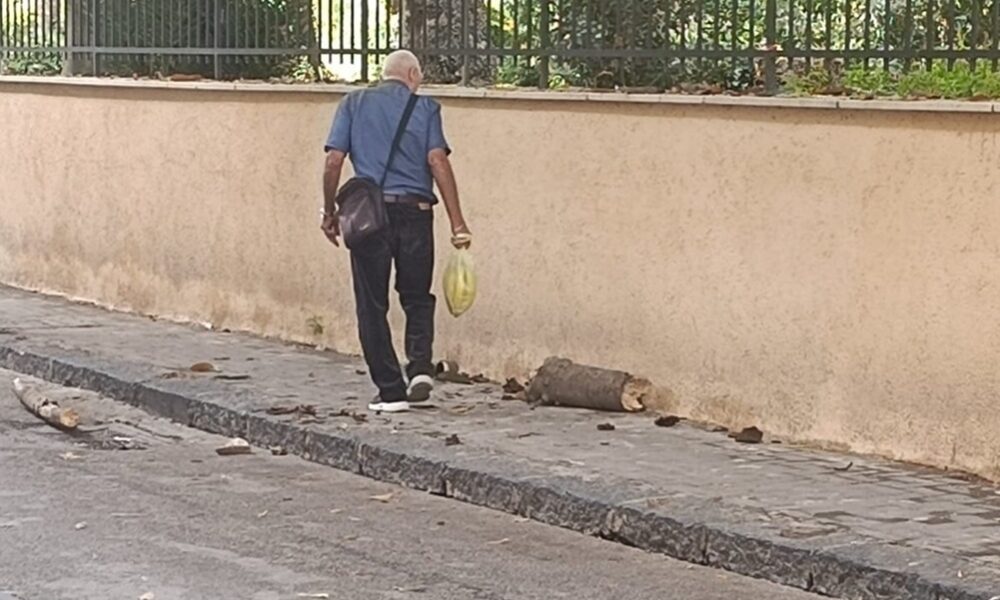 Al momento stai visualizzando Agrigento – Maltempo: crolla grosso ramo di un albero della villa “Elena”, nessun ferito